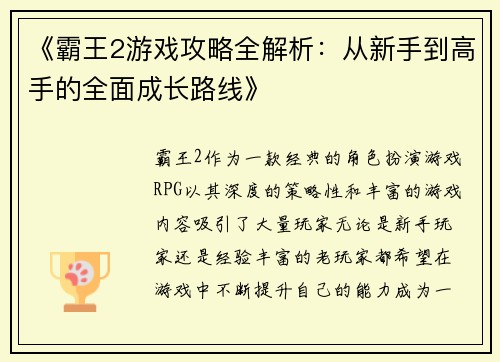 《霸王2游戏攻略全解析：从新手到高手的全面成长路线》